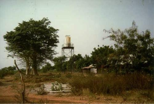 1991