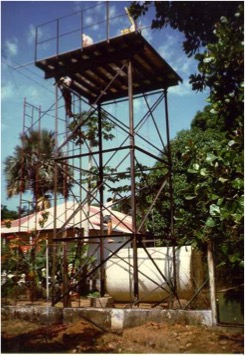 1994