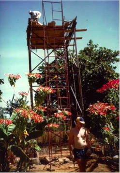 1994